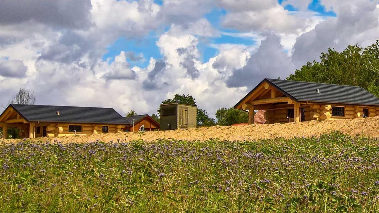 Naturstammhaus Tollensesee Domek alpejski