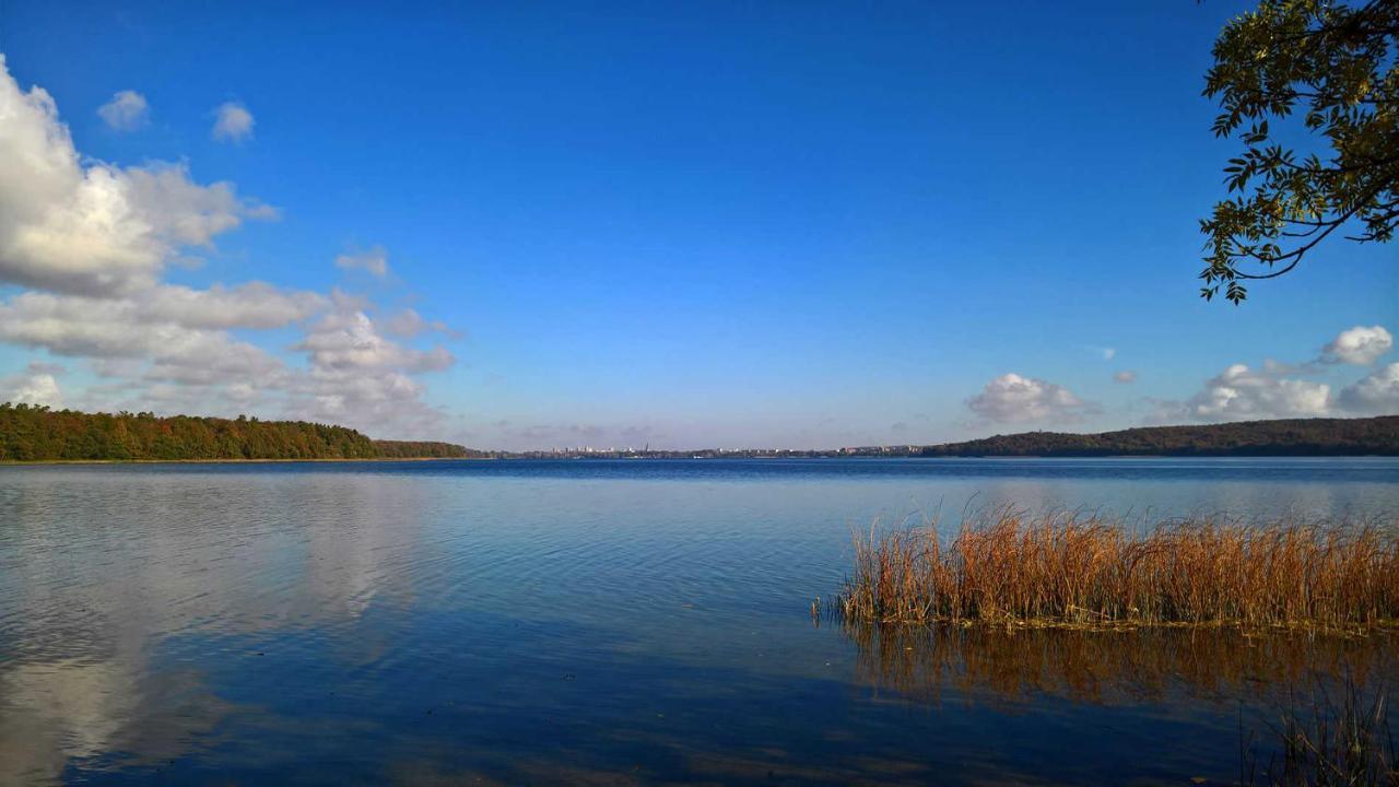 Naturstammhaus Tollensesee *